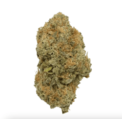 Cannamedical CM 30/1 Ginger Cookies